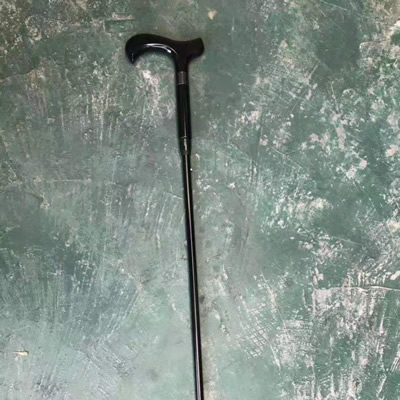 walking stick