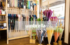 Umbrella Market Size: Current Situation and Outlook