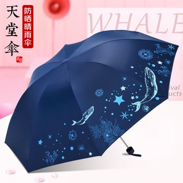 Fashionable High Quality Brand Elegent Look Umbrella - China